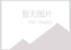 澳门夏岚能源有限公司